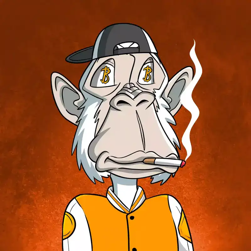 Ape Nation tweet media