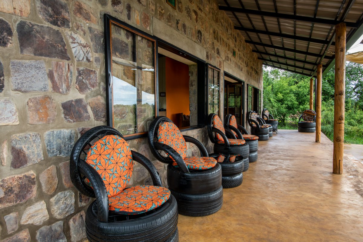 Akagera National Park tweet media