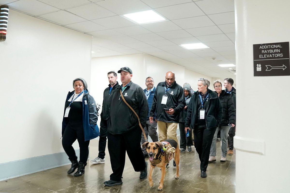 WWP DC tweet media