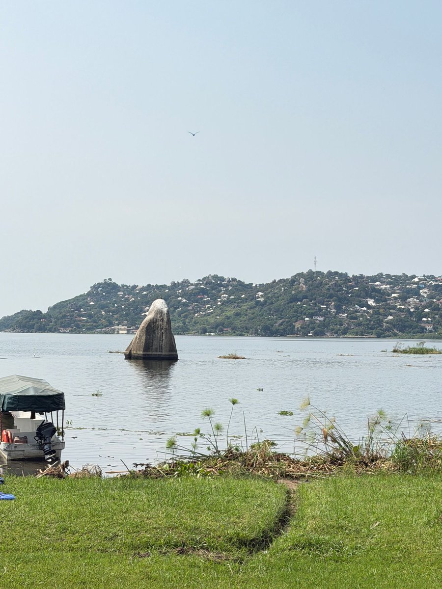 Micky Jnr tweet media