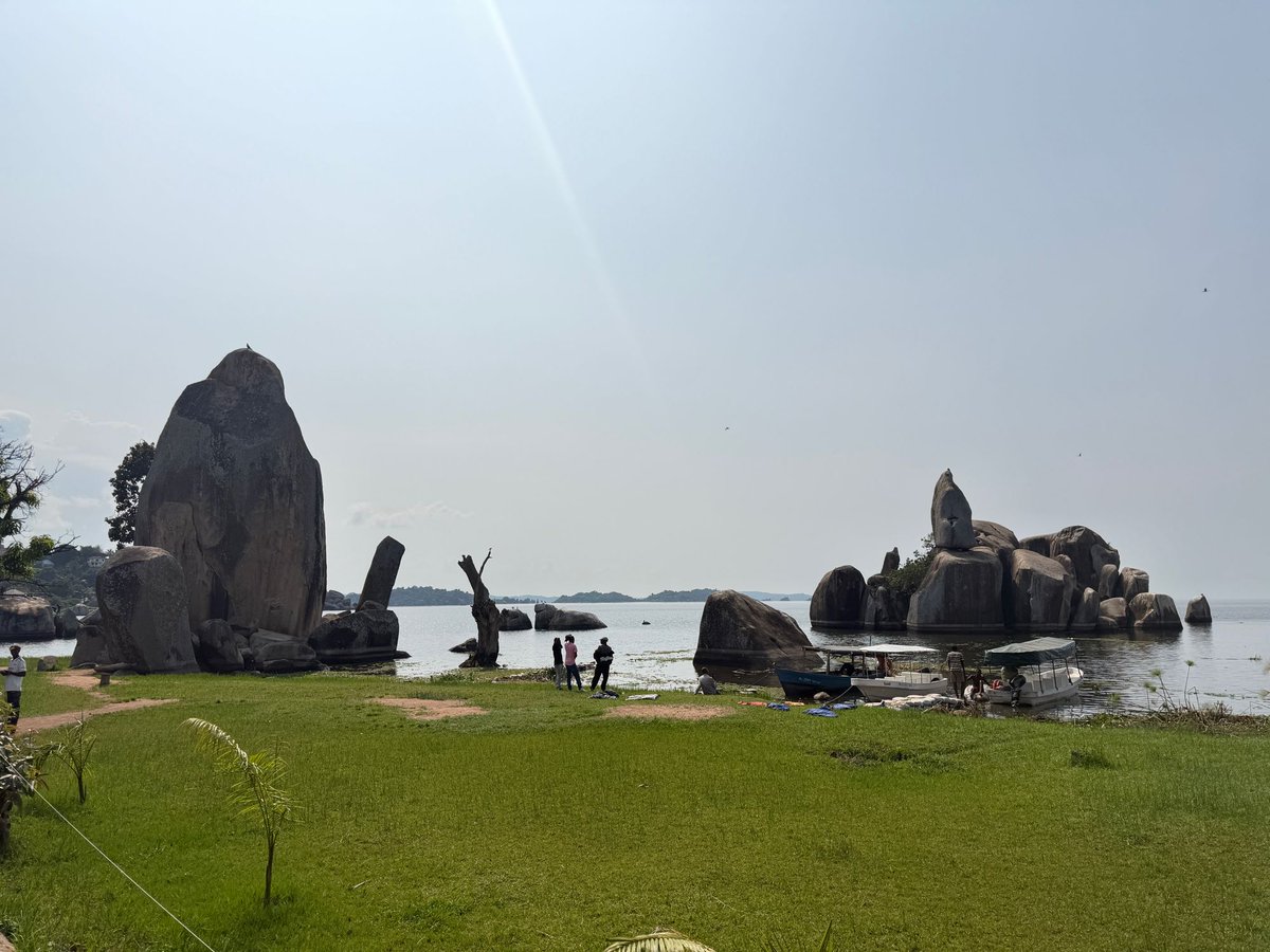 Micky Jnr tweet media