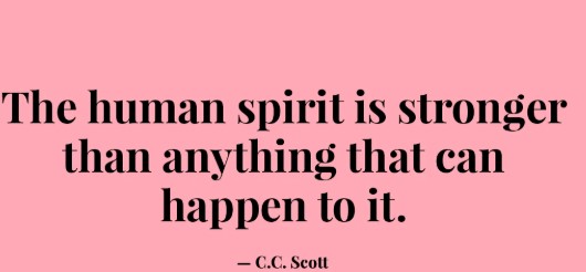 ProCure Proton Therapy Center tweet media