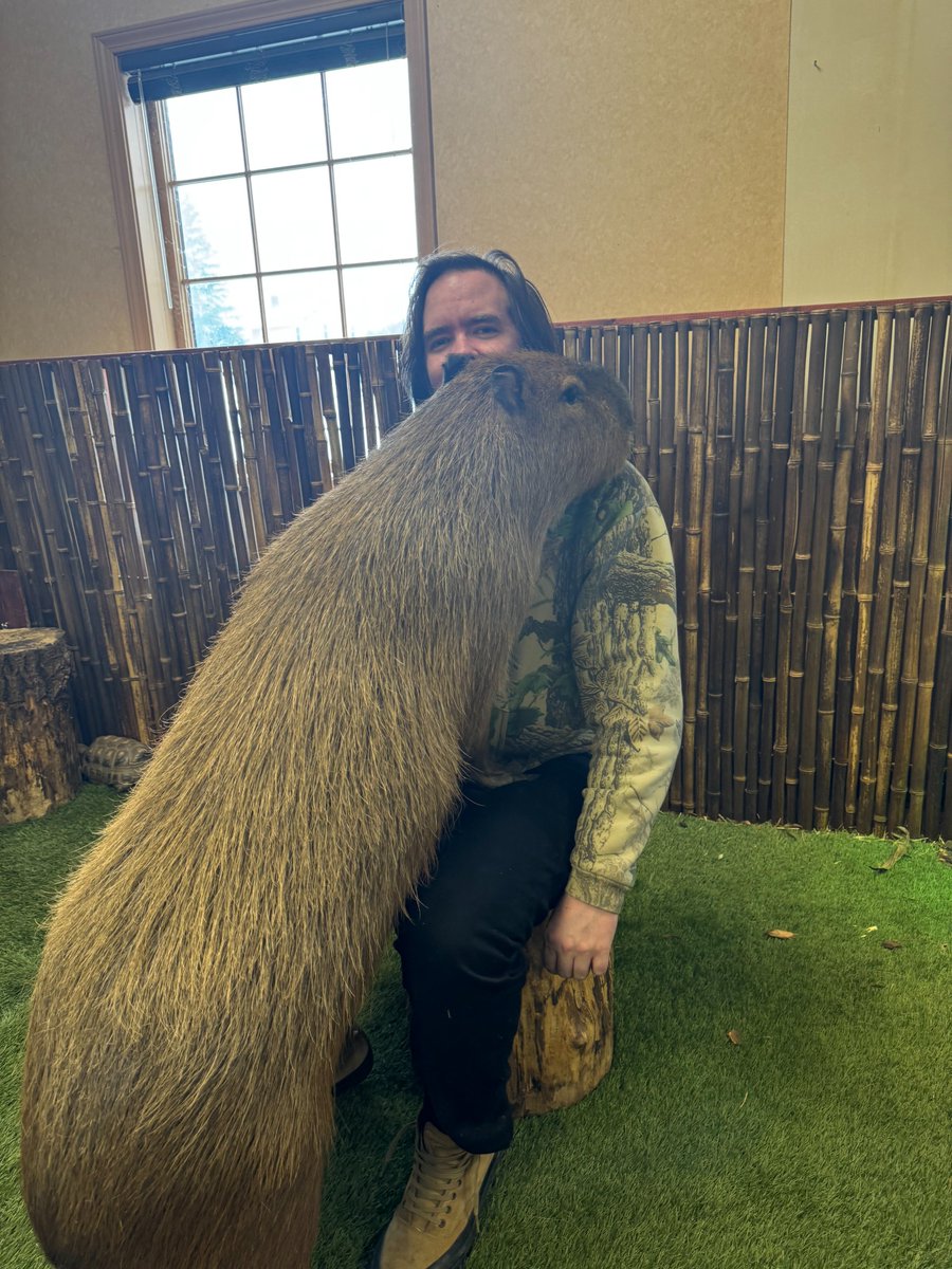 Will 🦥 Menaker tweet media