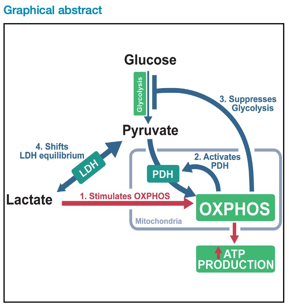Aitor Viribay tweet media