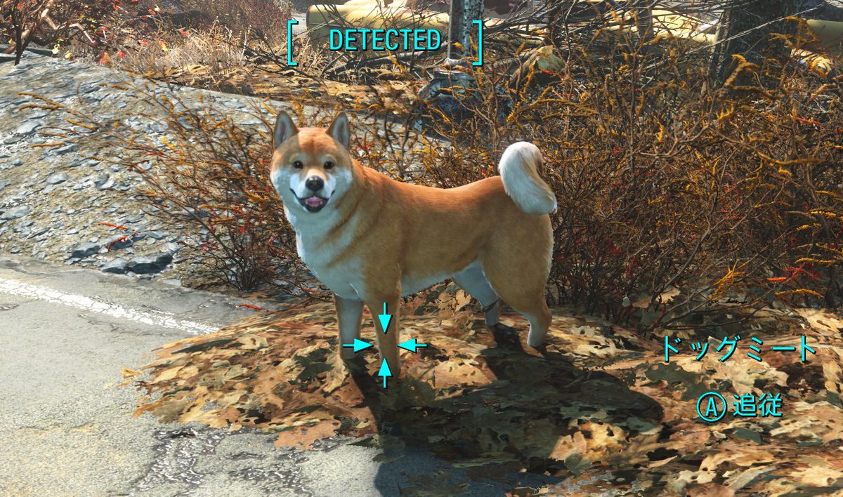 本日2月25日、Nintendo Switch2版のFallout4 Anniversary Editionが発売されました！

⚡本編＋DLC全部入り！
⚡新武器や防具、パワーアーマー、建築アイテムなど150以上のクリエイションMOD（公認クリエイターによる追加コンテンツ）

連邦で柴ミートが待っている！
#Fallout4 #Switch2