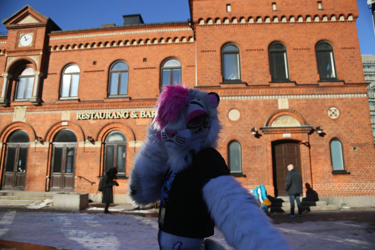 Dawn Snowmeow tweet media