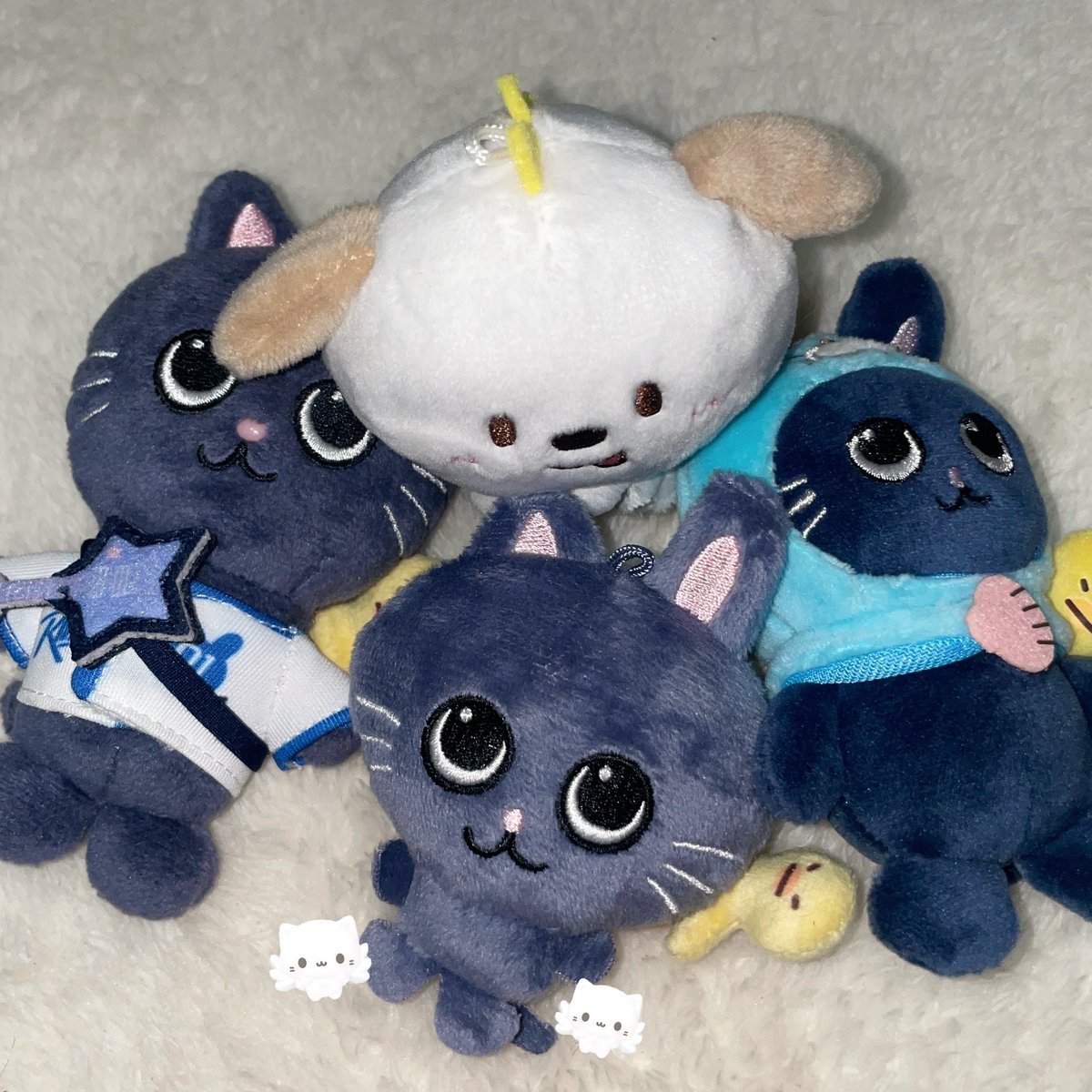 — 🐕🐈‍⬛🪽♥︎ ♥︎