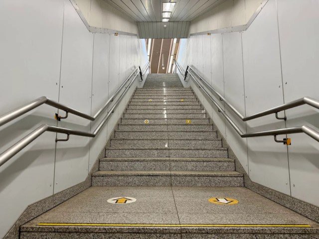 Zuzu 🐉💮 tweet media