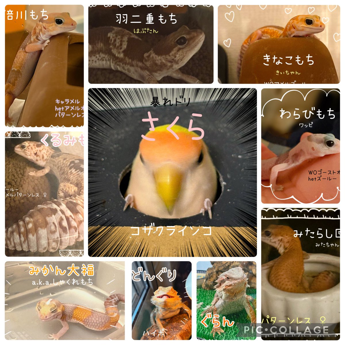 (元)院長 tweet media