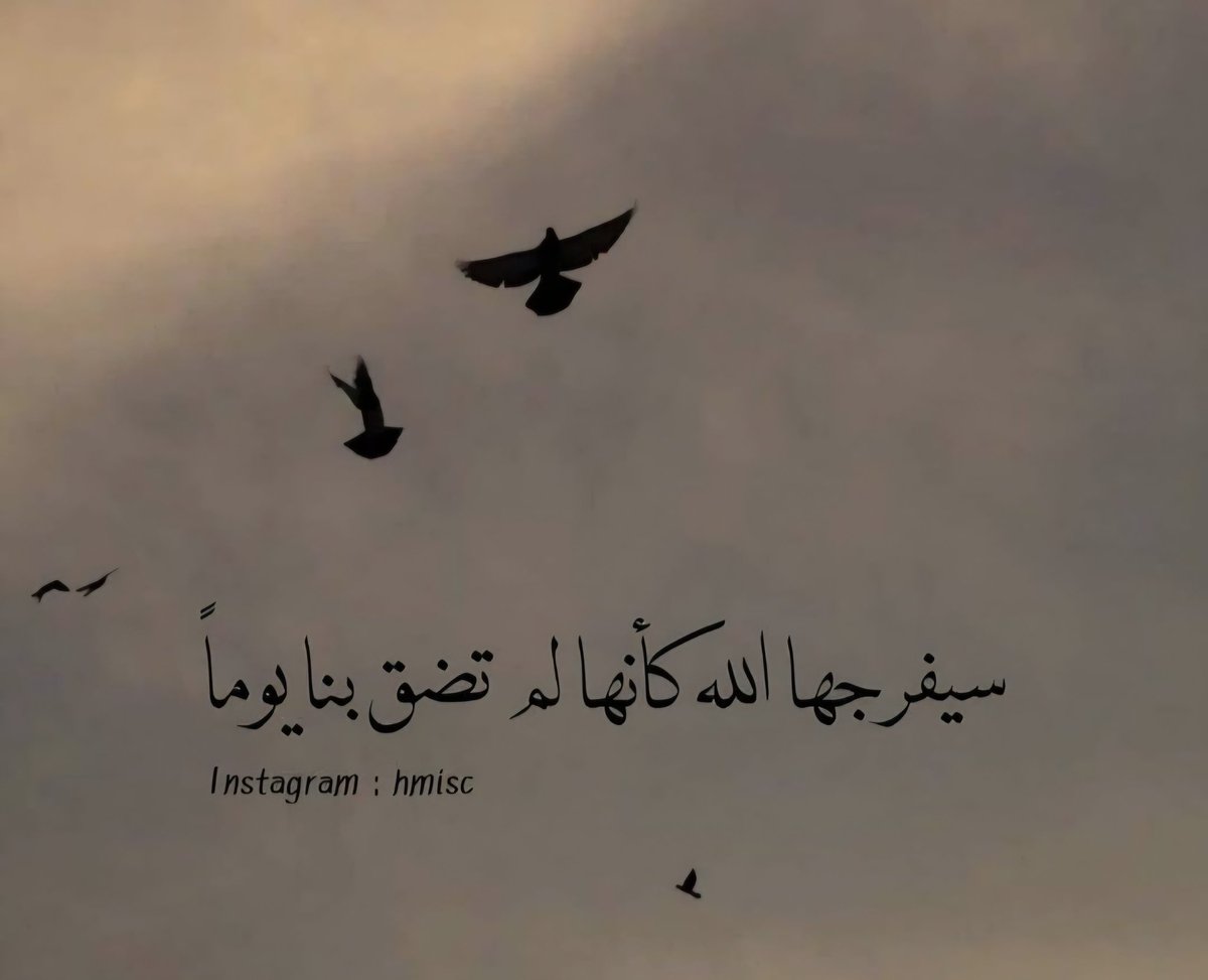 هاشم عبد القادر كوشك tweet media