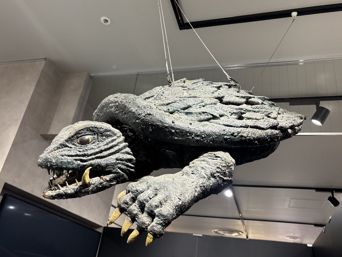 おはようございます！