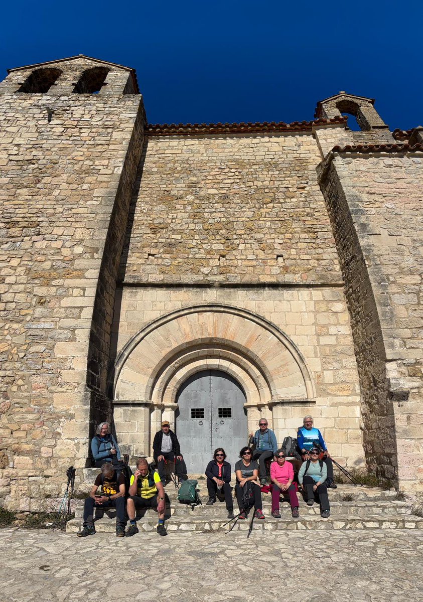 aamp.cat tweet media