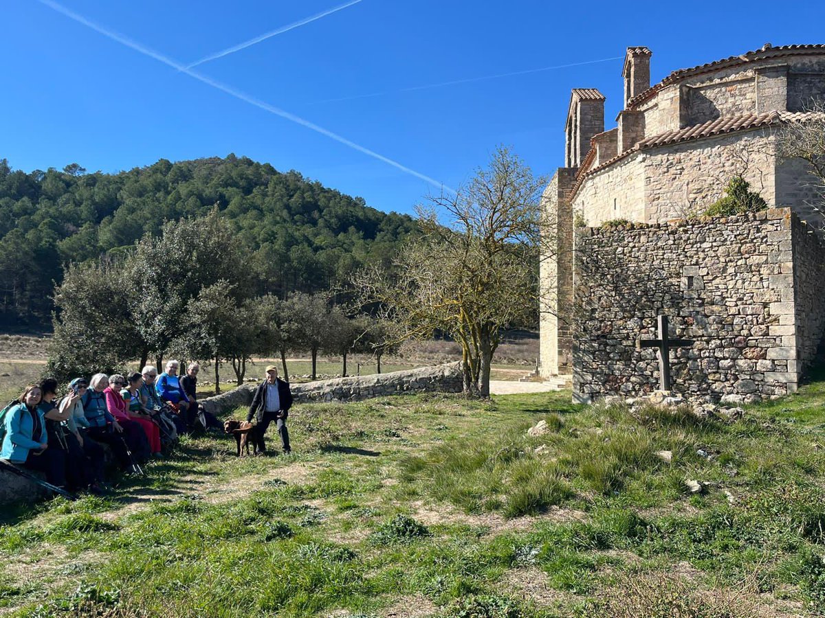 aamp.cat tweet media