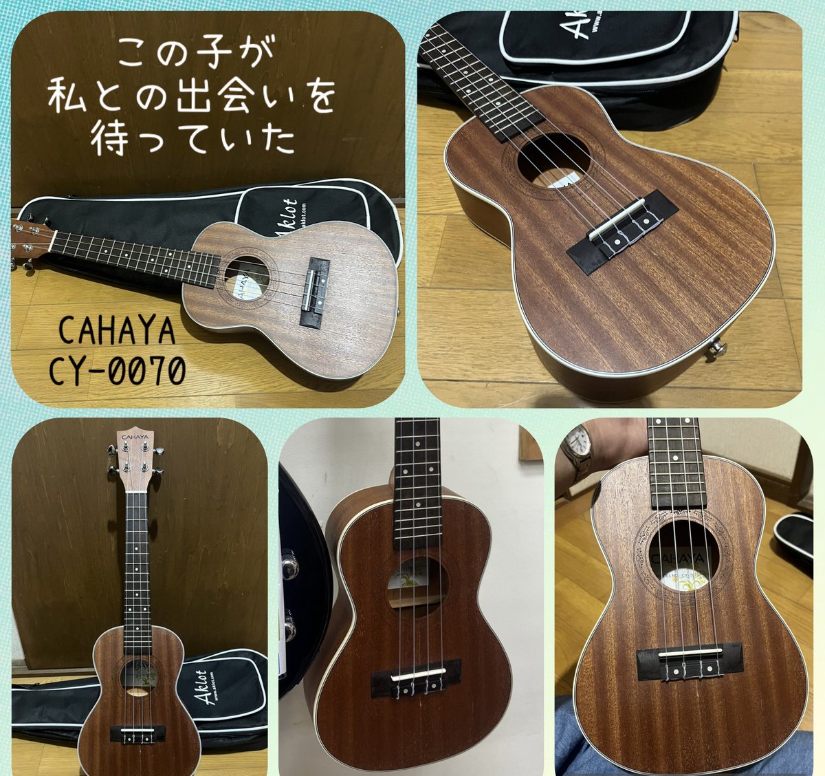 昨秋まだ暑い頃
ショップの片隅で
壁に釣られていた
この子を見つけた
まだ弾けないけど
いい音なんだよね