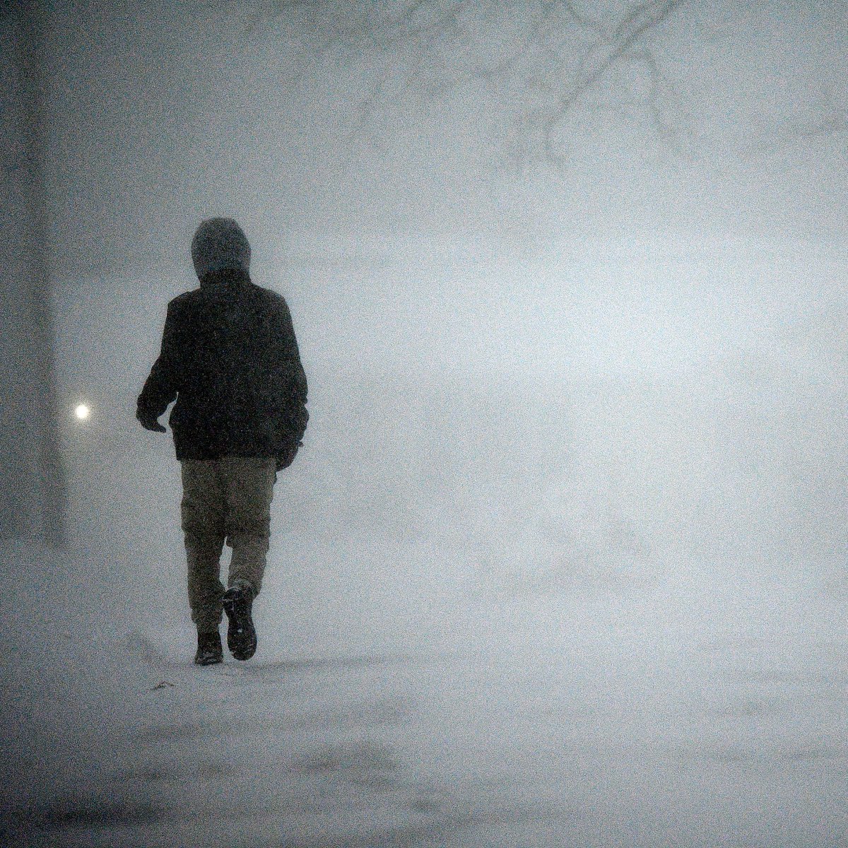 telegramdotcom tweet media