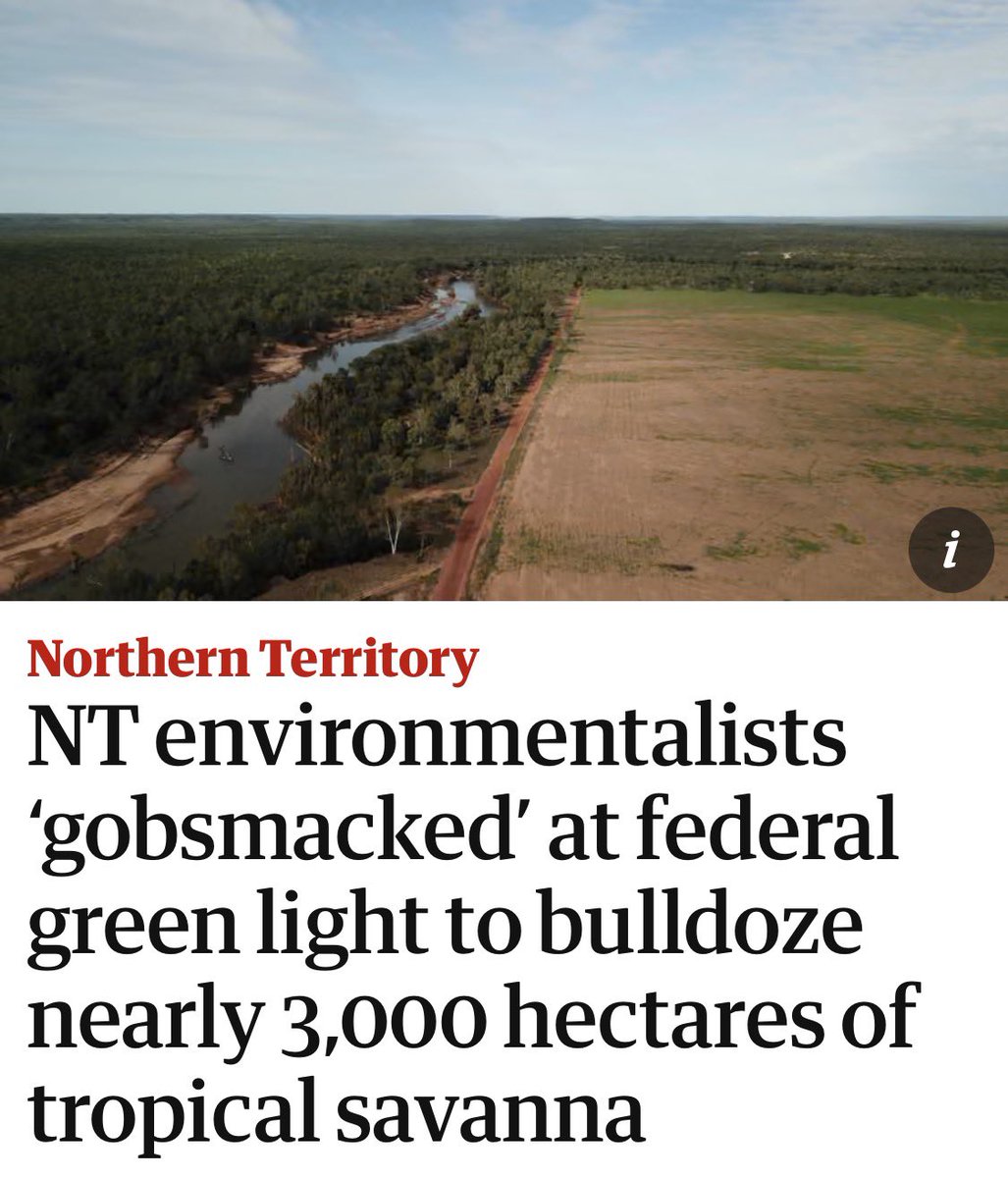 Under Labor’s new laws THIS DOESN’T EVEN GET ASSESSED 👇🏼

theguardian.com/australia-news…