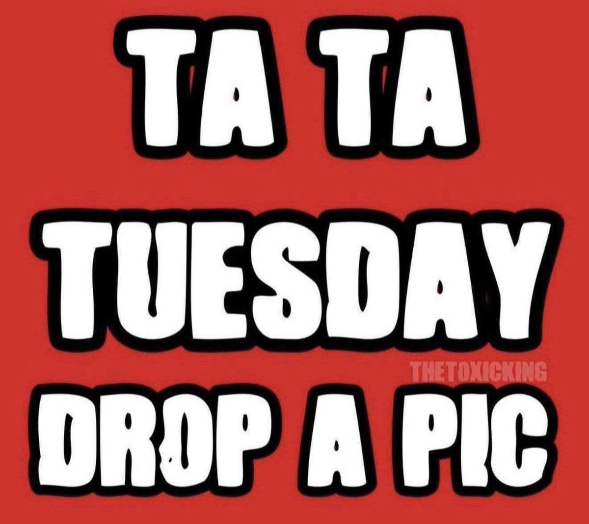 TheToxicKing tweet media