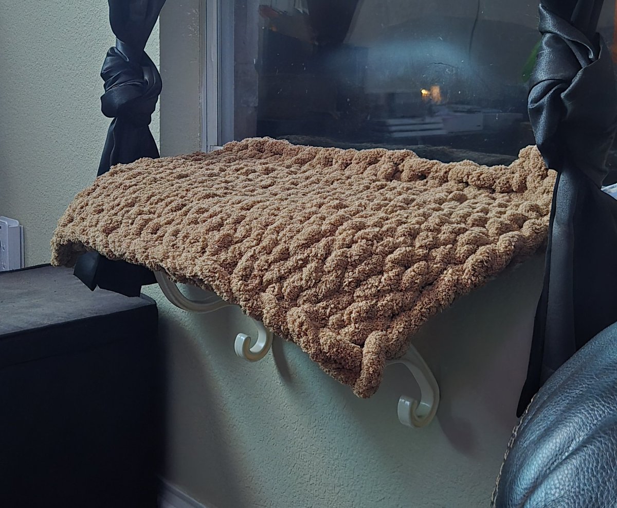 krista🦥 tweet media