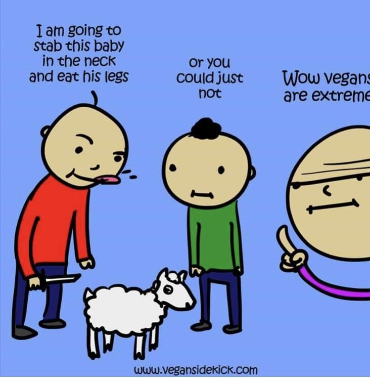 Why Aren't You Vegan? tweet media