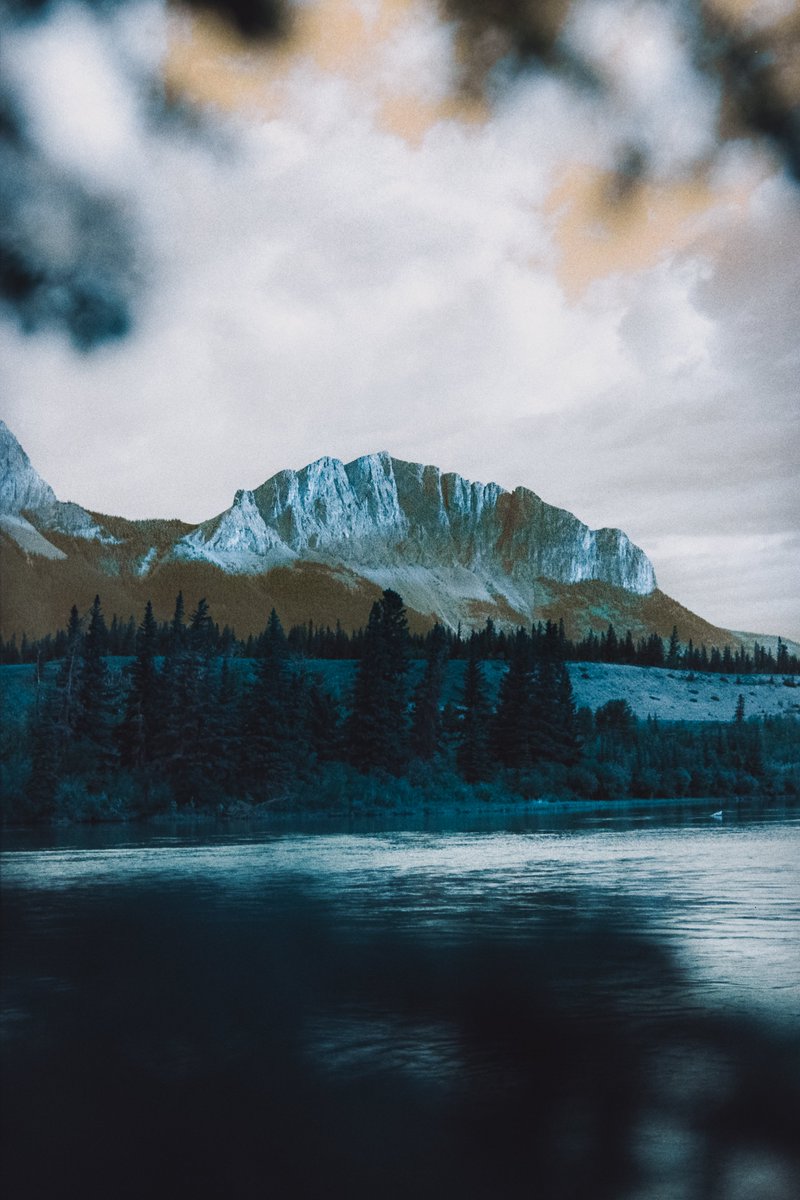 Alex Mack tweet media