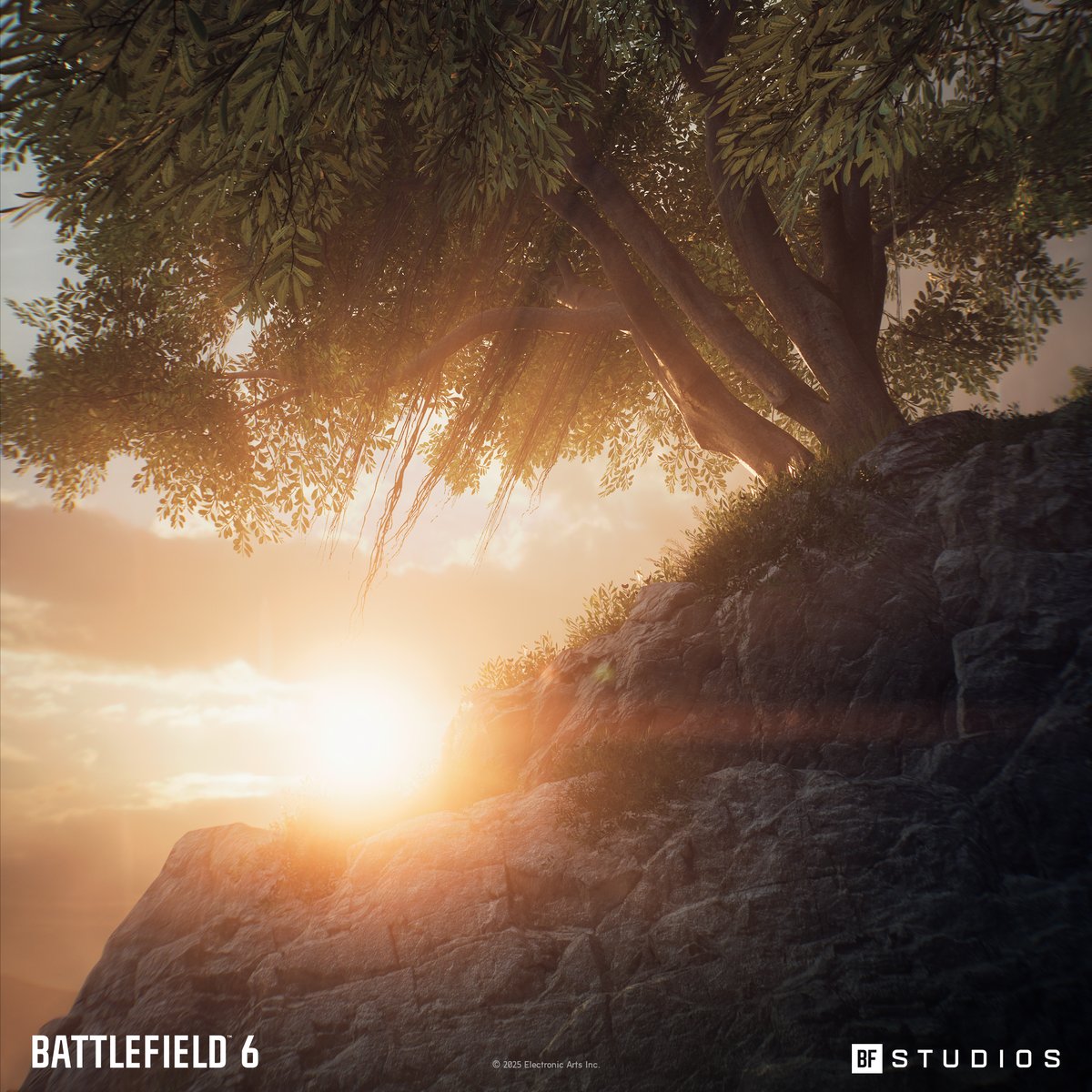 Mikael Karnell tweet media