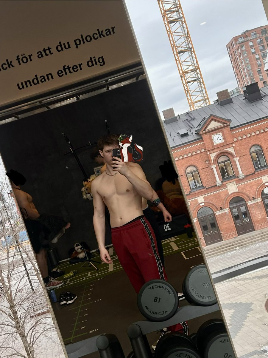 Navi husky tweet media