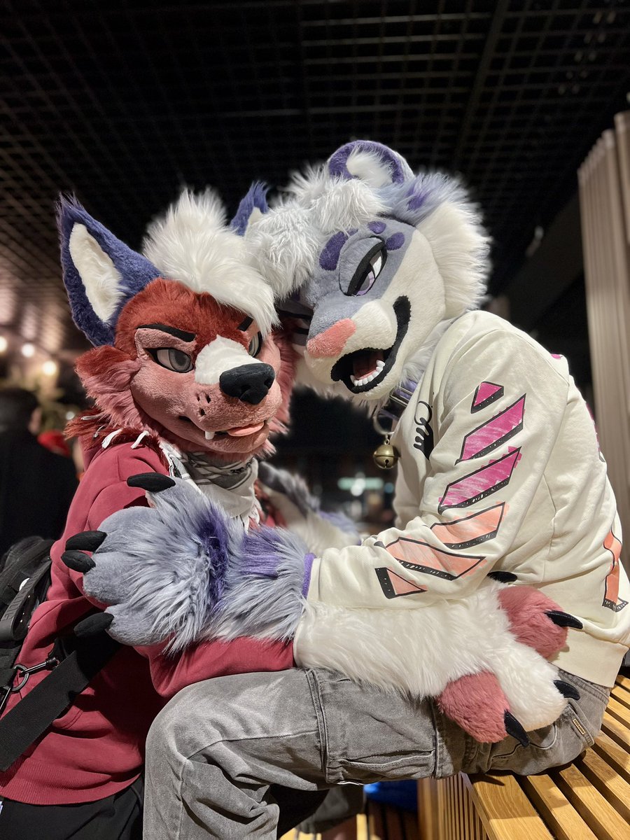 Navi husky tweet media