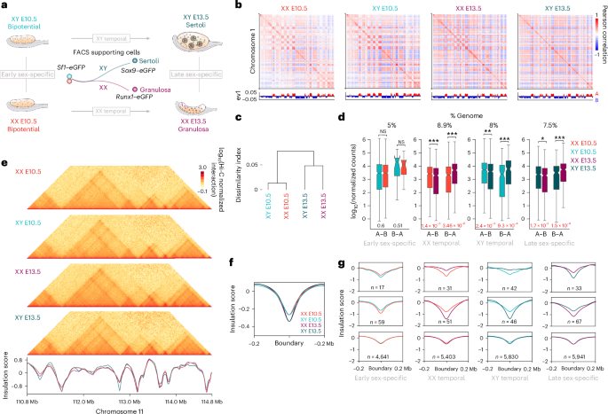 NatureStructMolBiol tweet media