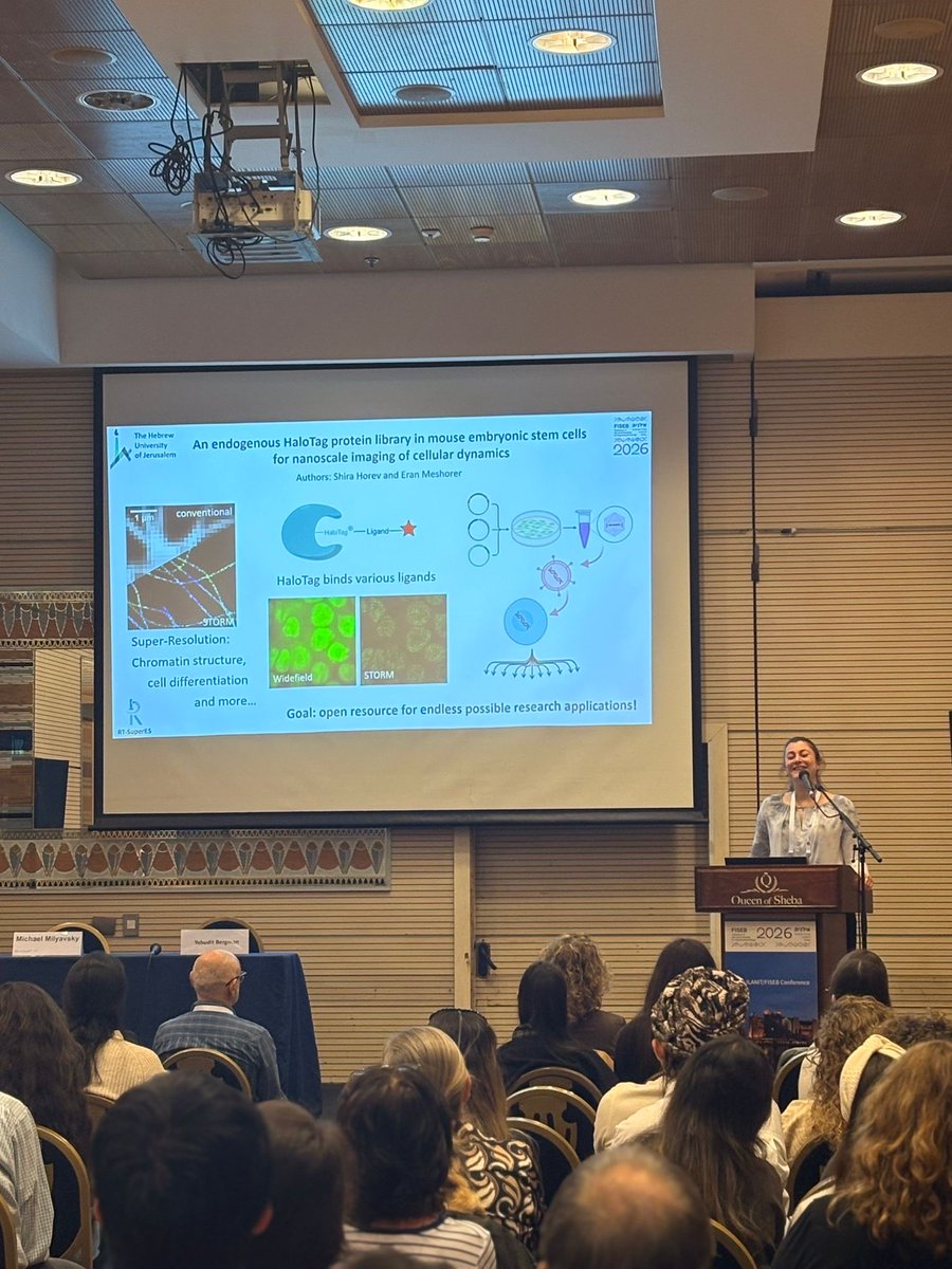 Eran Meshorer tweet media