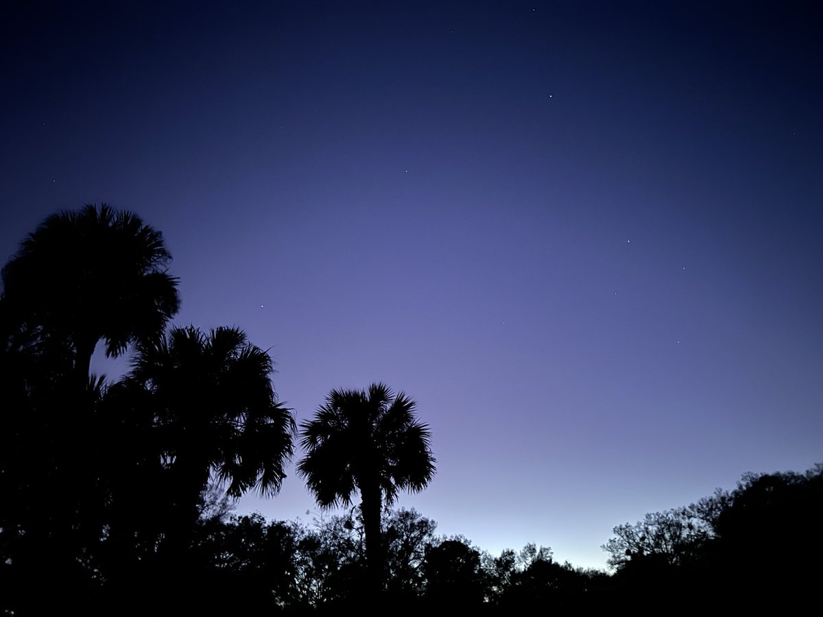 Reverie in Ruins (@sighandsubmit) on Twitter photo 