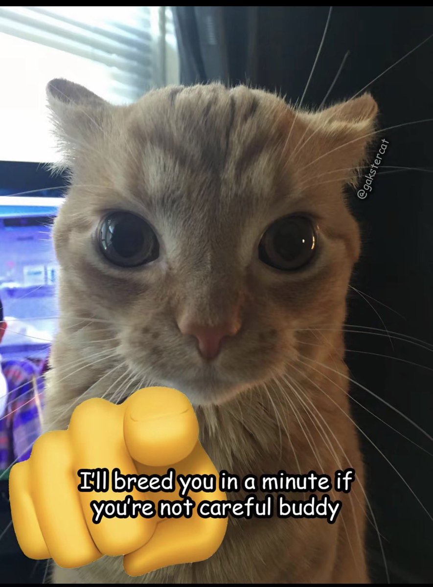 𝖳𝗁𝖾 𝖥𝗂𝗋𝗌𝗍 𝖠𝗏𝖾𝗇𝗀𝖾𝗋 tweet media