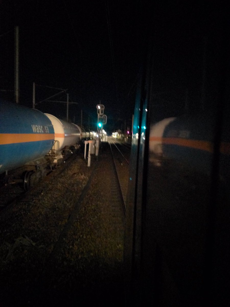 Gerald H. tweet media