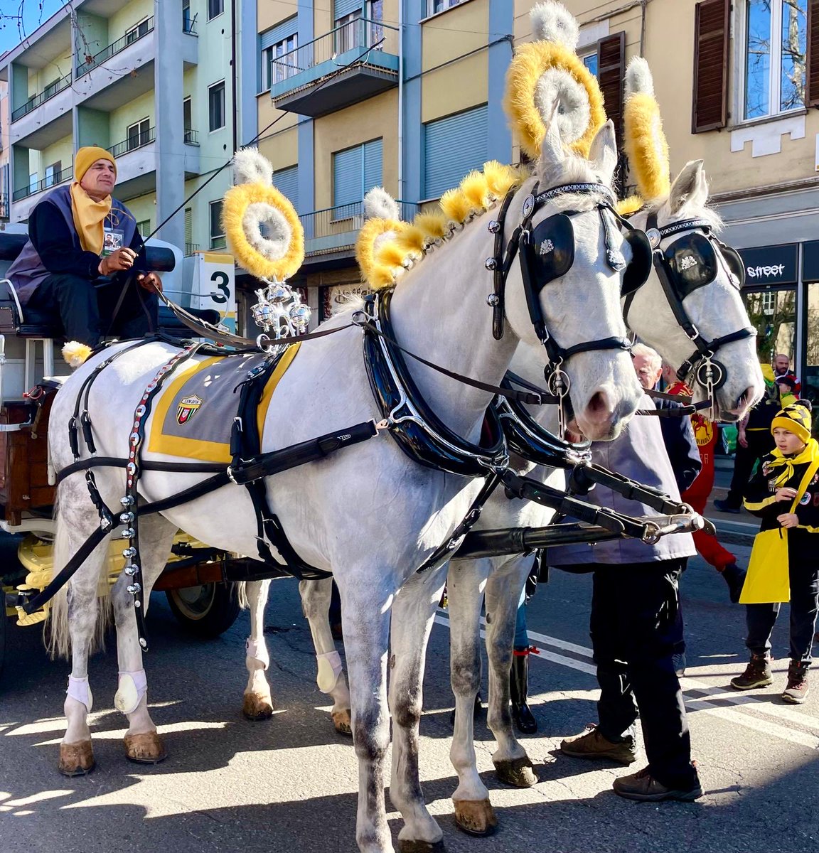 Gianluca Sansone tweet media