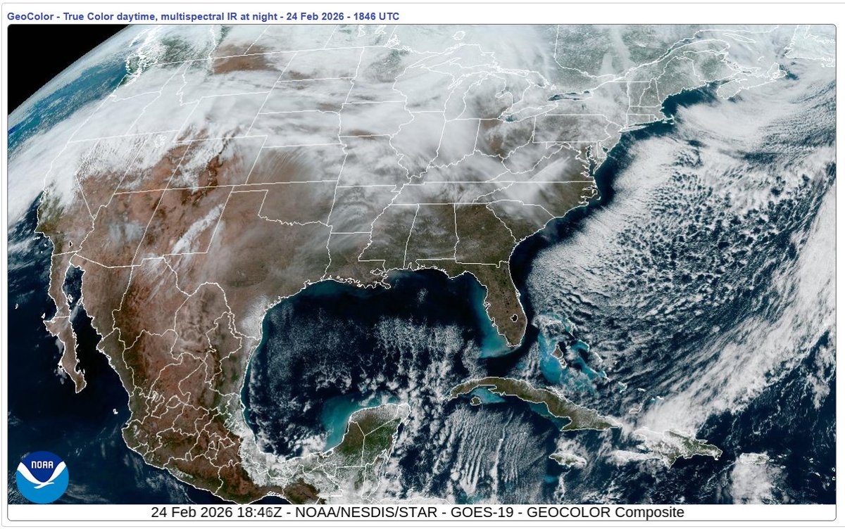 Randylus tweet media