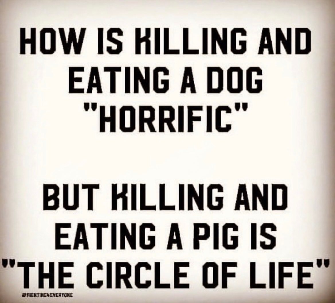 Why Aren't You Vegan? tweet media