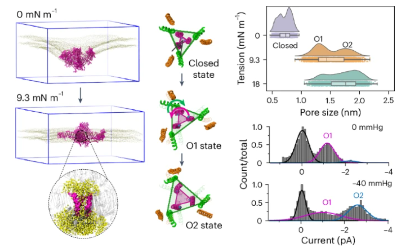 Nature Chemical Biology tweet media