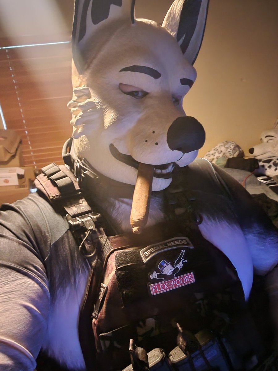 Daddo <a href="/SouthPawAlpha/">SouthPawSigma</a> got me a new tacticool collar with a grabby handle =^_^=