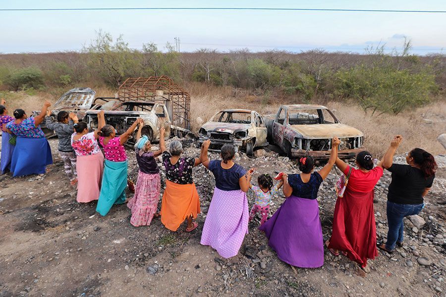 The Stringer Foundation tweet media