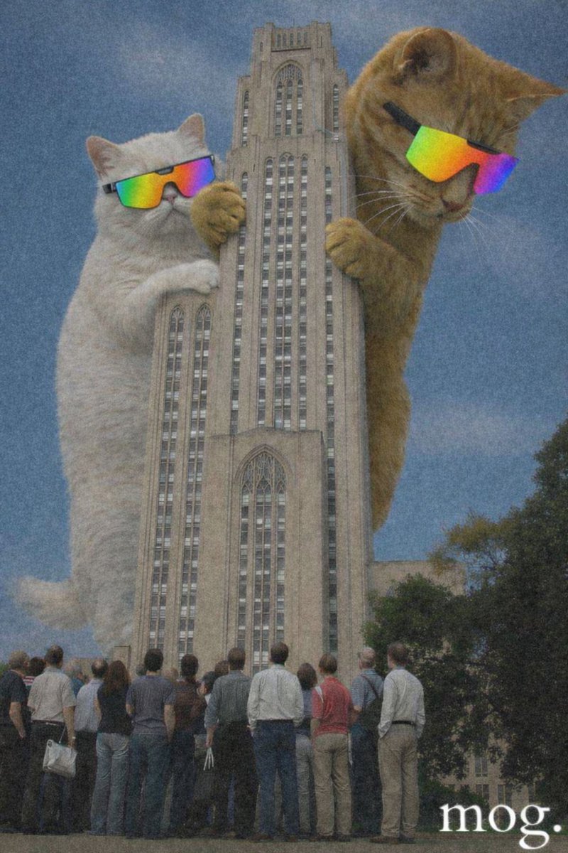 ❤️ Pixie 💙 tweet media