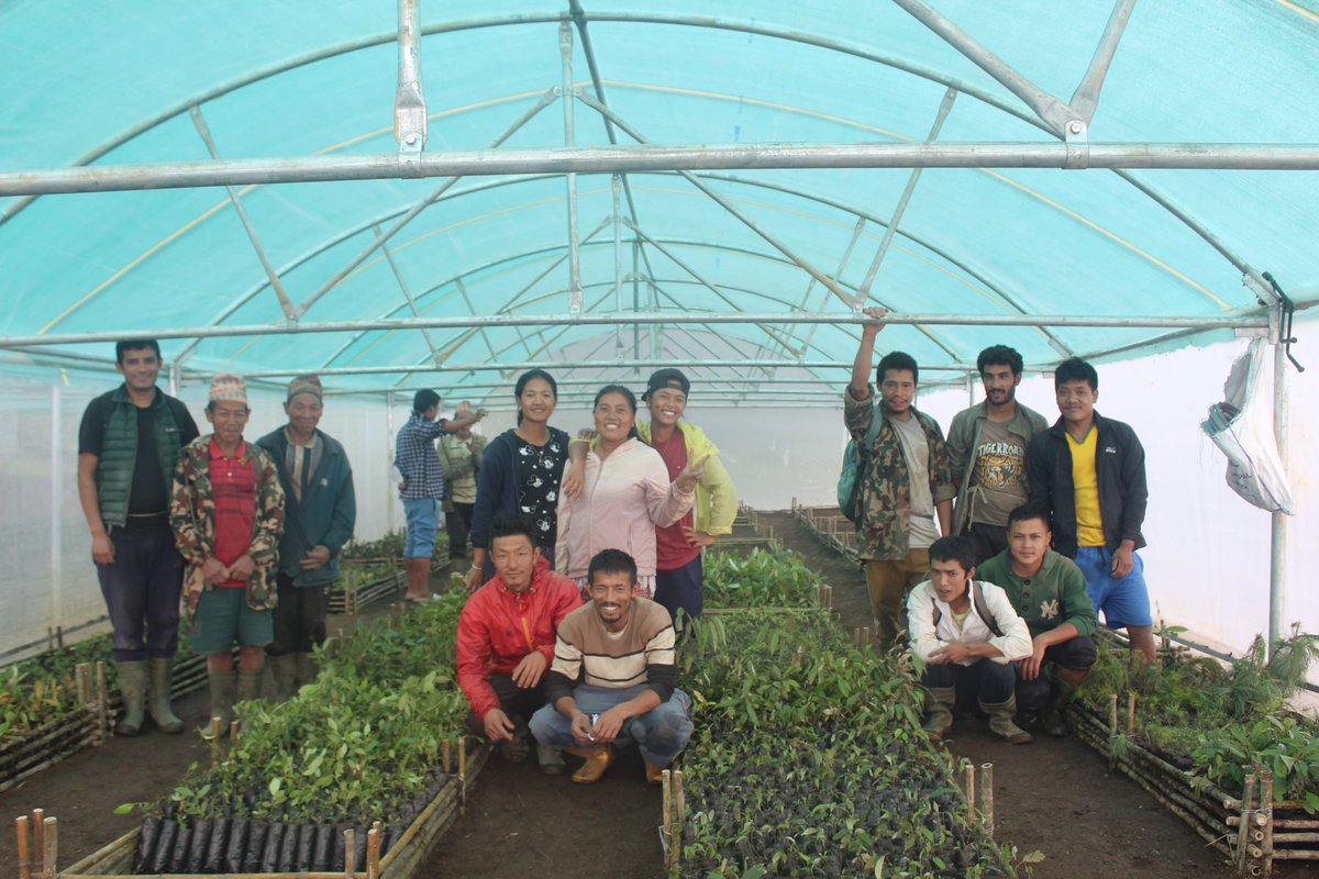 Red Panda Network tweet media