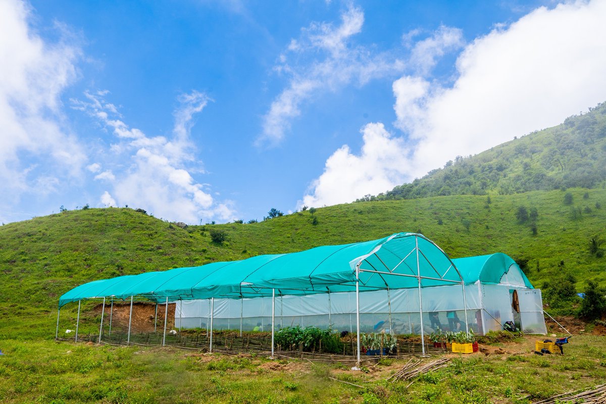 Red Panda Network tweet media