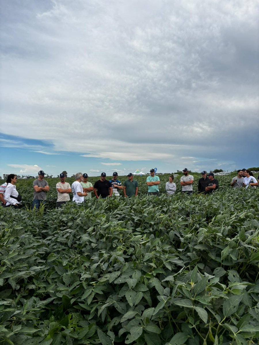 Corteva Argentina tweet media