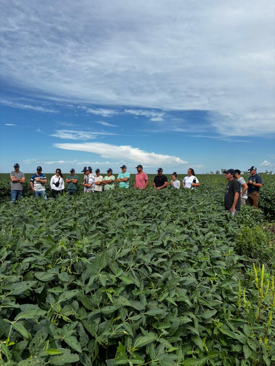 Corteva Argentina tweet media