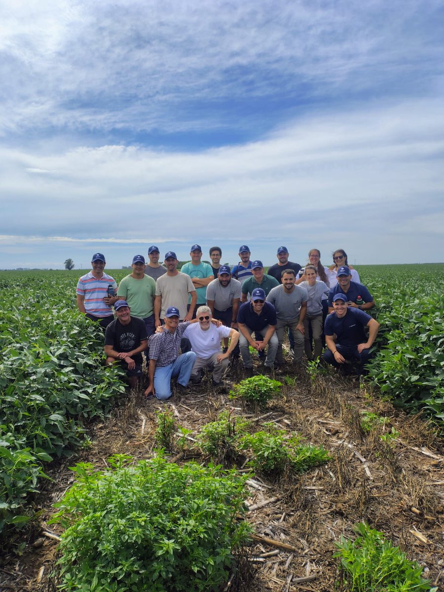 Corteva Argentina tweet media