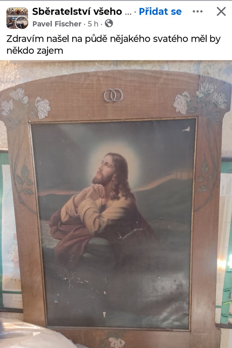 Oruto_77 tweet media