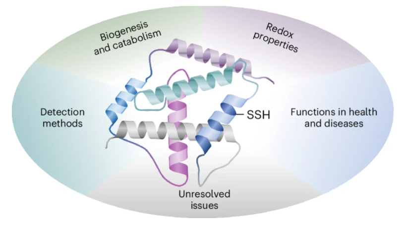 Nature Chemical Biology tweet media