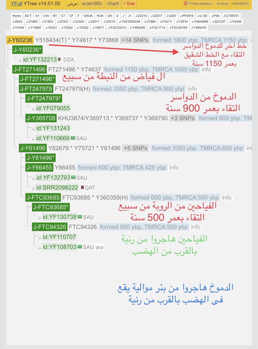 (دراسة تحور)

بر المول كم ذكره المورخ الانجليزي عن الدموخ

والمقصود بئر الموالية متحدثا فيها عن الدموخ
بالبحرين والوثيقة عمرها اكثر من ١٢٠ سنة 

وانهم هاجروا منها مع بقية الدواسر

ولكن الغريب ان الدموخ الدواسر والفياحين من سبيع خرجوا بتحور واحد وهاجروا من منطقة متقاربة جدا جدا
