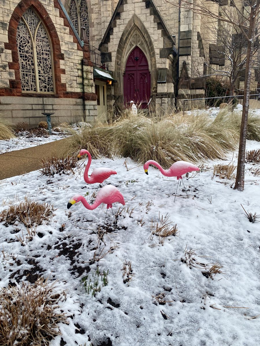 We're honored that so many of our parishioners, like these three dedicated flamingos, are willing to brave bad weather to come and worship with us!