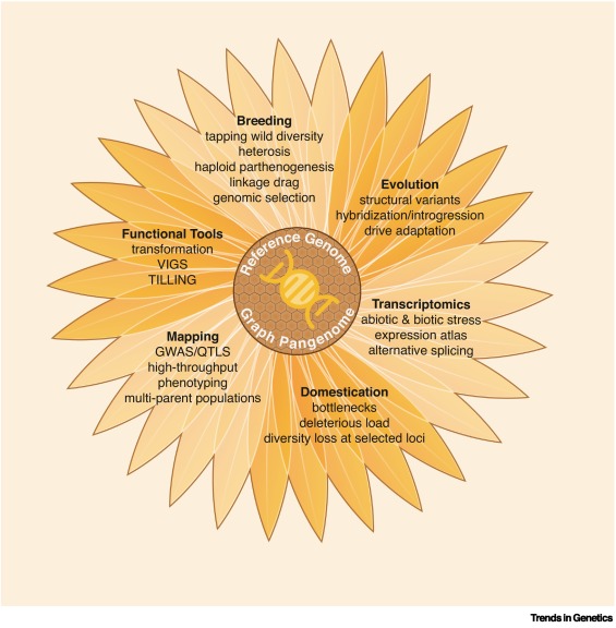Trends in Genetics tweet media