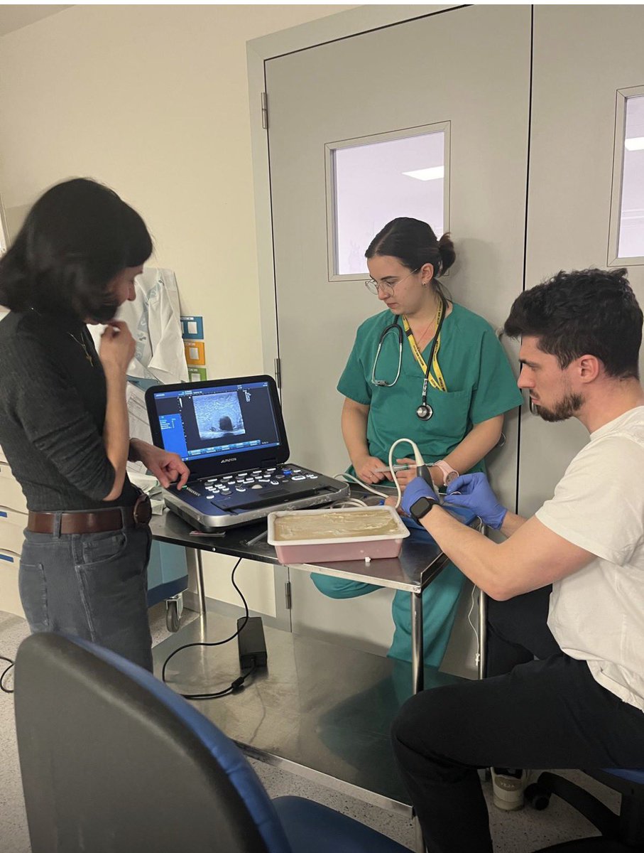 ANESTESIA HCUV tweet media